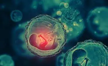 Infertility Management online course